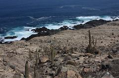 1051-per Nazca (panamericana),17 luglio 2013
